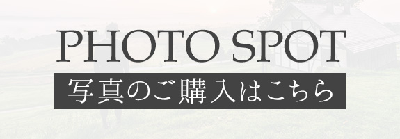 写真のご購入はこちら