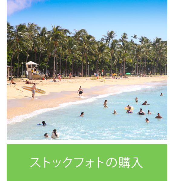 ストックフォトの購入